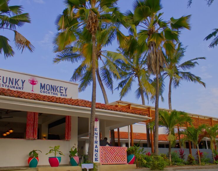 Funky Monkey
