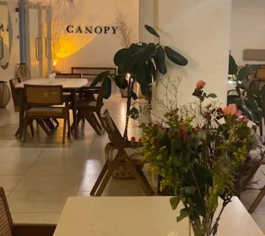 Canopy.nbo