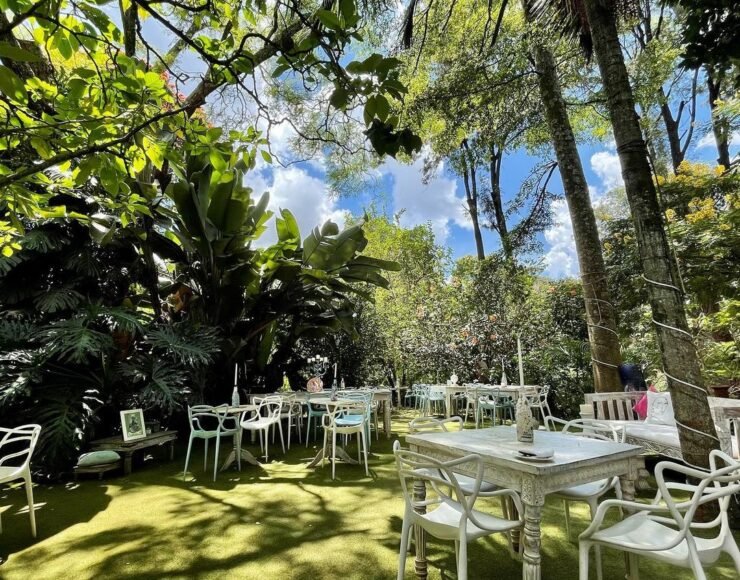 Chez Sonia Chez Sonia