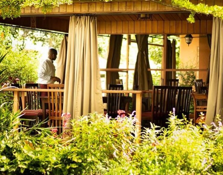 Cedars Lenana Cedars Lenana