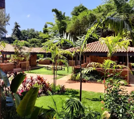 Red Ginger Red Ginger