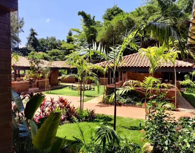 Red Ginger Red Ginger