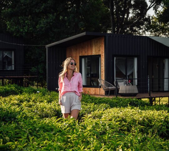 Tea Farm Tour Tea Farm Tour