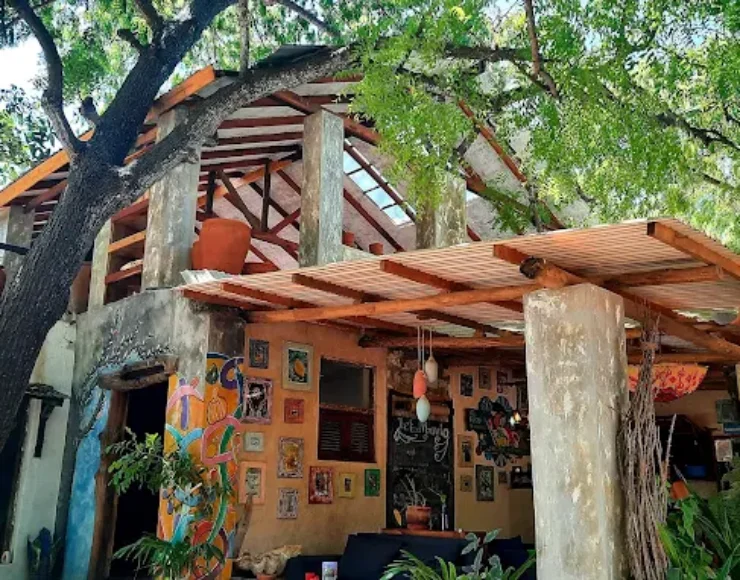 The Food Movement The Food Movement