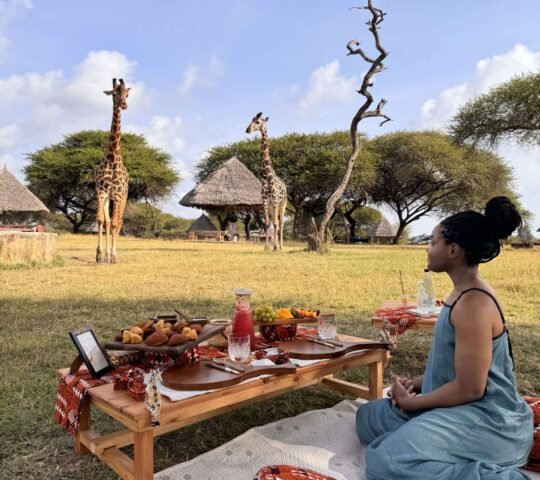 Luxury Picnic with Giraffes