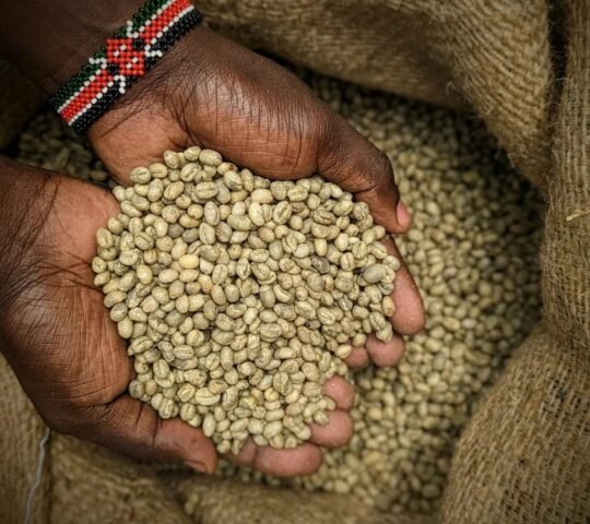 Spring Valley Coffee Roastery